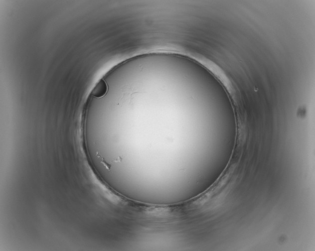 X0000096151006200802011229