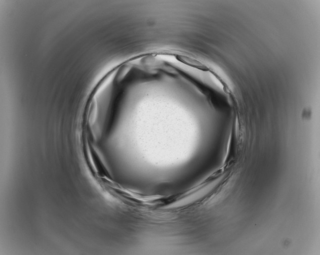 X0000096151007200802011229