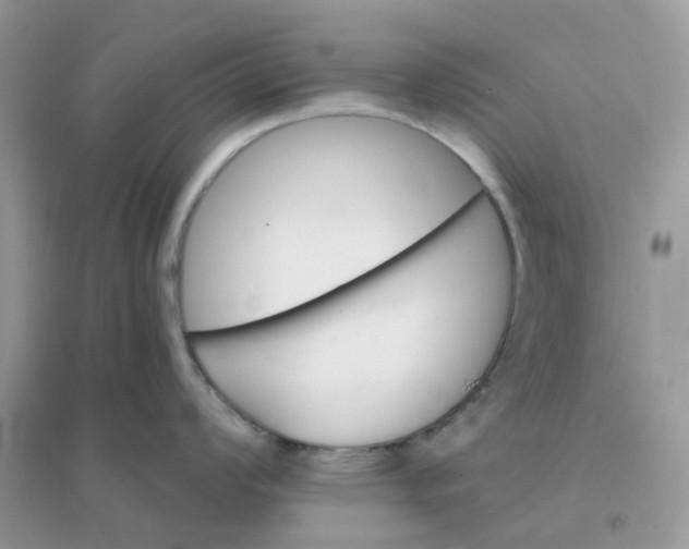 X0000096151008200802011228