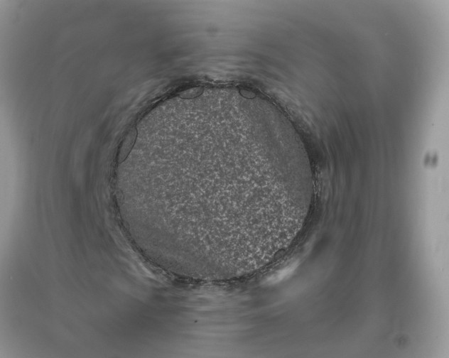 X0000096151009200802011228