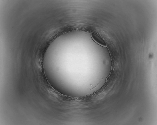 X0000096151010200802011228