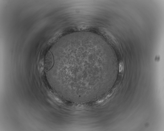 X0000096151011200802011228