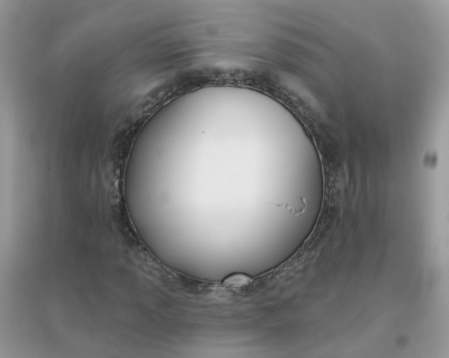 X0000096151013200802011228