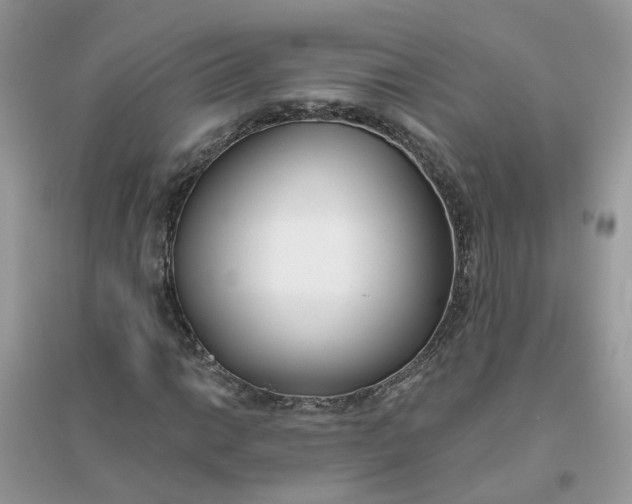 X0000096151014200802011228