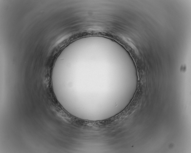 X0000096151015200802011228
