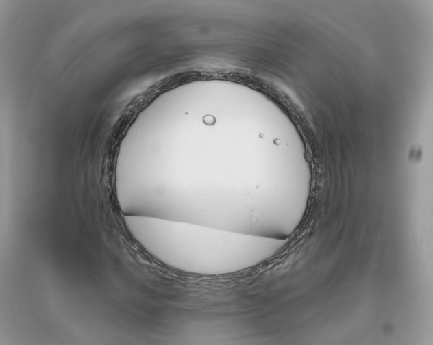 X0000096151016200802011228