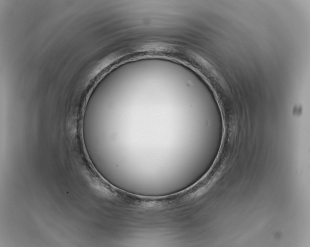 X0000096151017200802011228