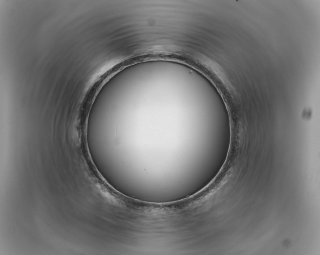 X0000096151018200802011228