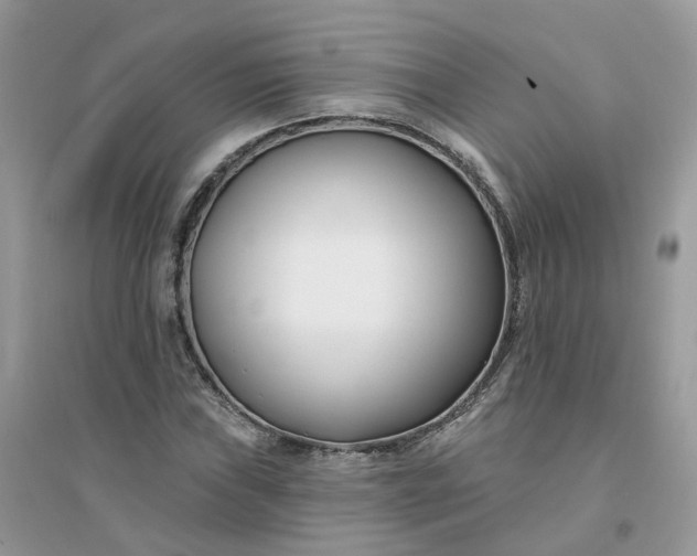 X0000096151019200802011228
