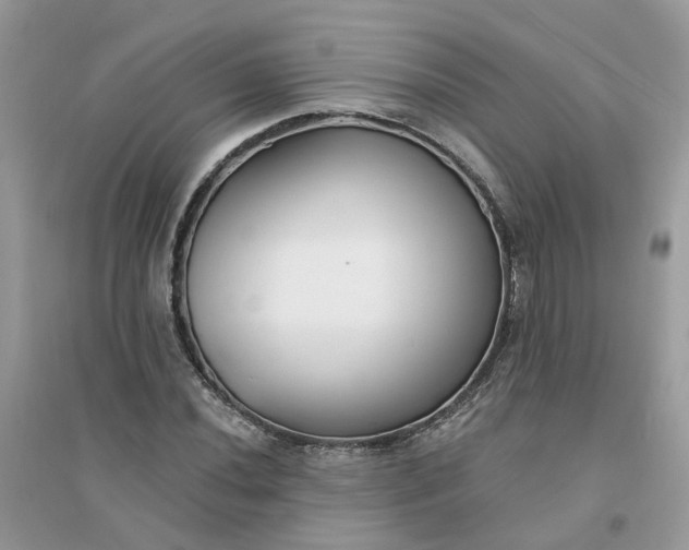 X0000096151020200802011228