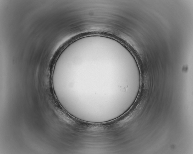 X0000096151021200802011228