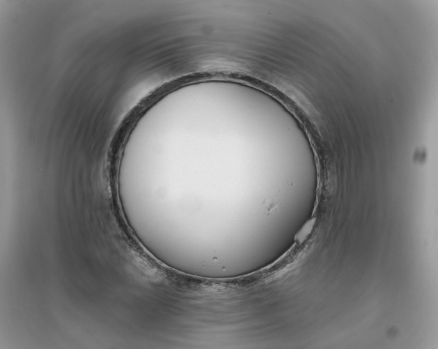 X0000096151022200802011228