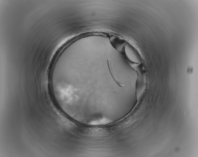 X0000096151024200802011228