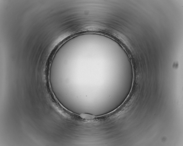 X0000096151026200802011228