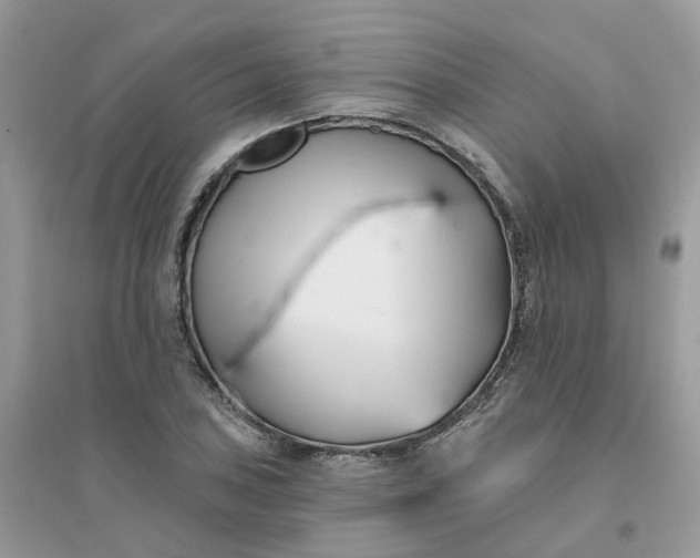 X0000096151027200802011228