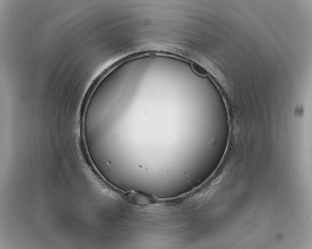 X0000096151028200802011228