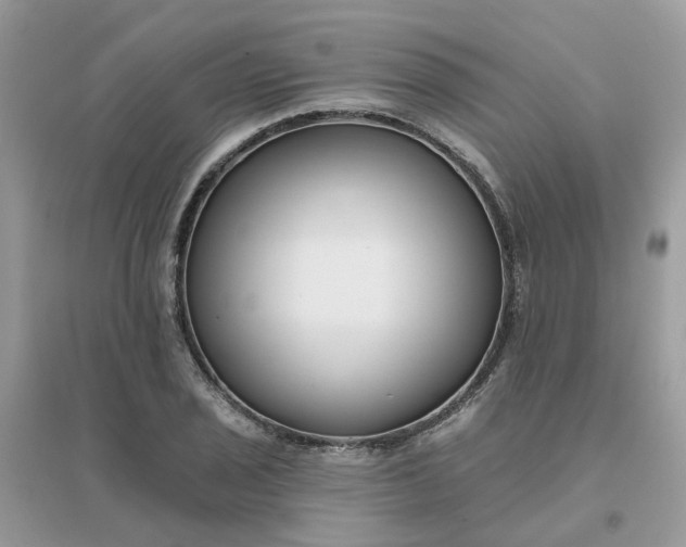 X0000096151029200802011228
