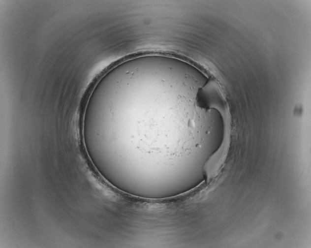 X0000096151030200802011228