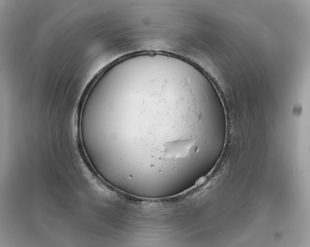X0000096151032200802011228