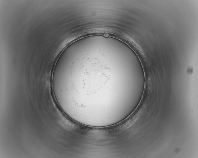 X0000096151033200802011228