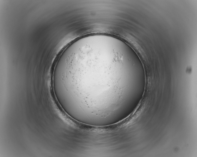 X0000096151034200802011228