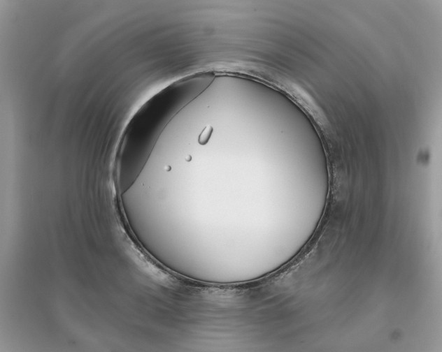 X0000096151036200802011228