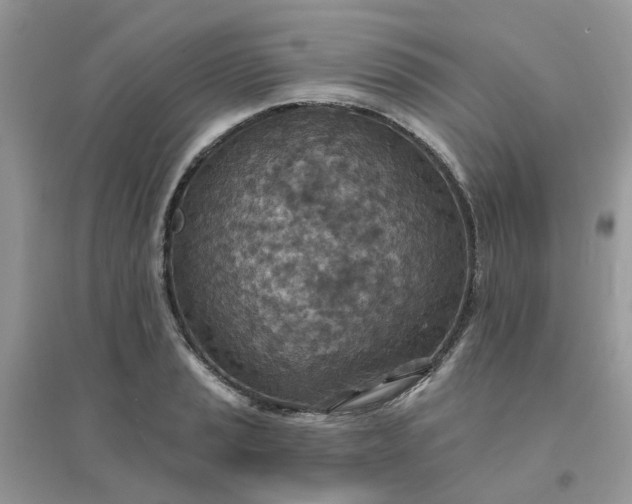 X0000096151037200802011228