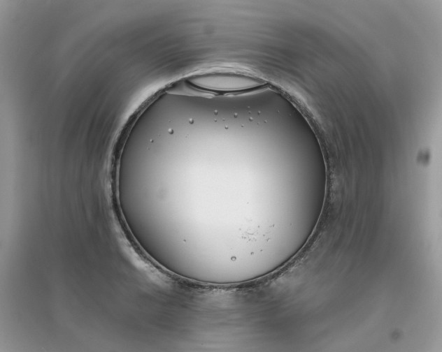 X0000096151038200802011228