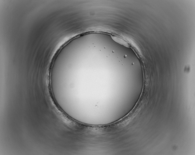X0000096151040200802011228