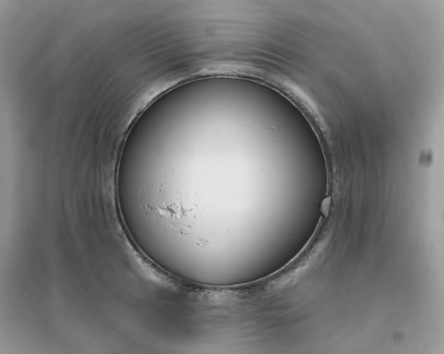 X0000096151041200802011228
