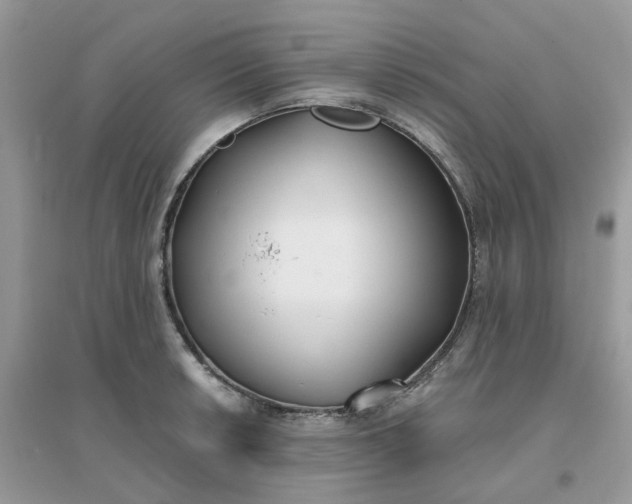 X0000096151042200802011228