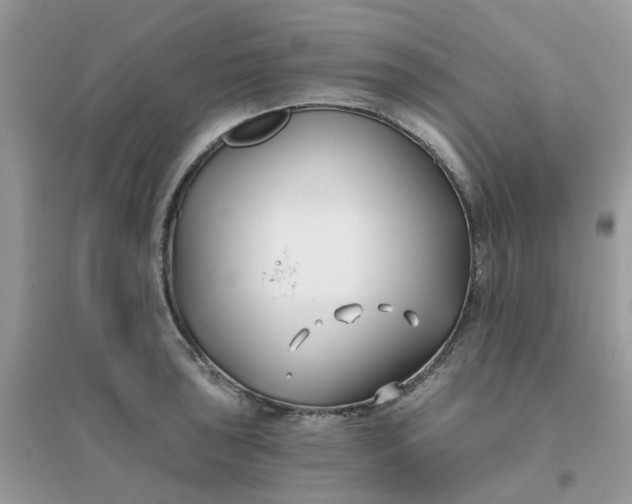 X0000096151043200802011228