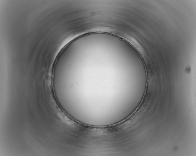 X0000096151044200802011228