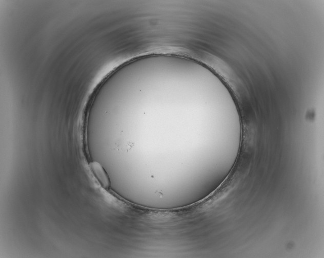 X0000096151046200802011228