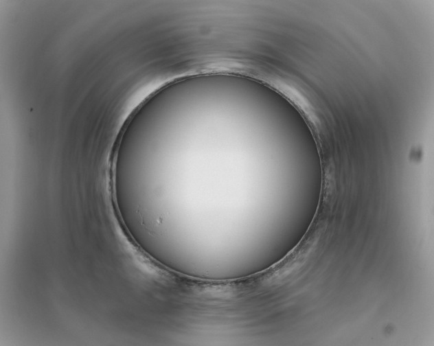 X0000096151047200802011228