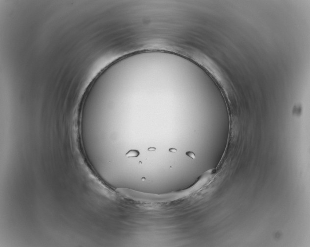 X0000096151048200802011228