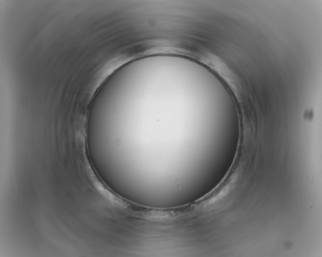 X0000096151049200802011228