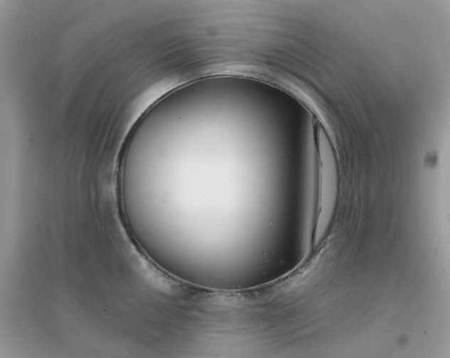 X0000096151050200802011228