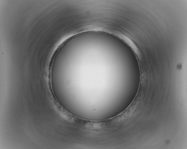 X0000096151051200802011228