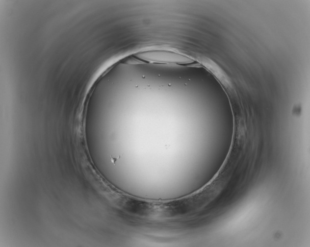 X0000096151052200802011228