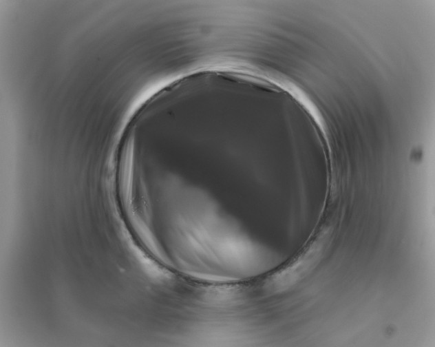 X0000096151053200802011228