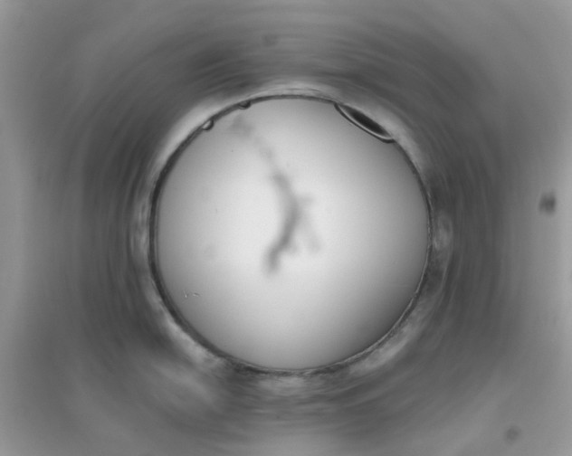 X0000096151054200802011228