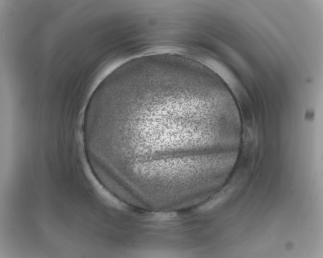 X0000096151055200802011228