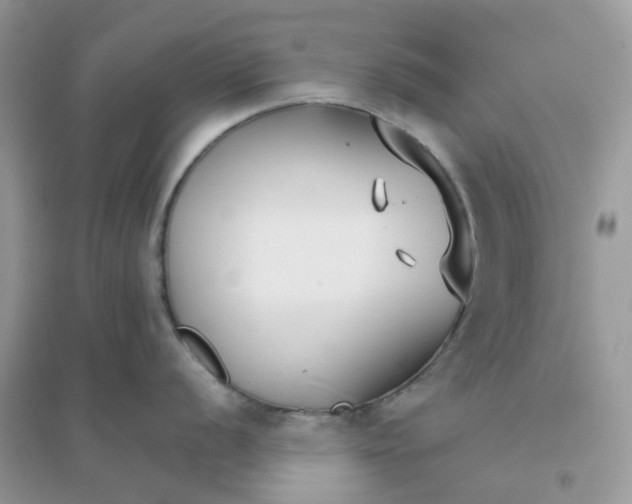 X0000096151056200802011228
