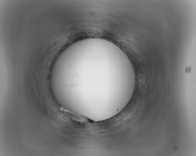 X0000096151057200802011228