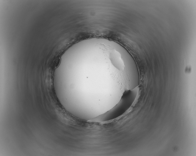 X0000096151058200802011228