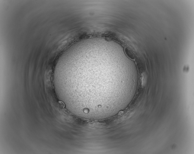 X0000096151059200802011228