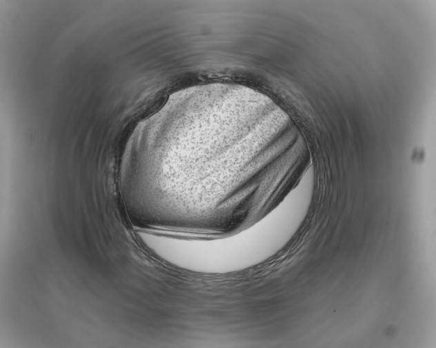 X0000096151060200802011228