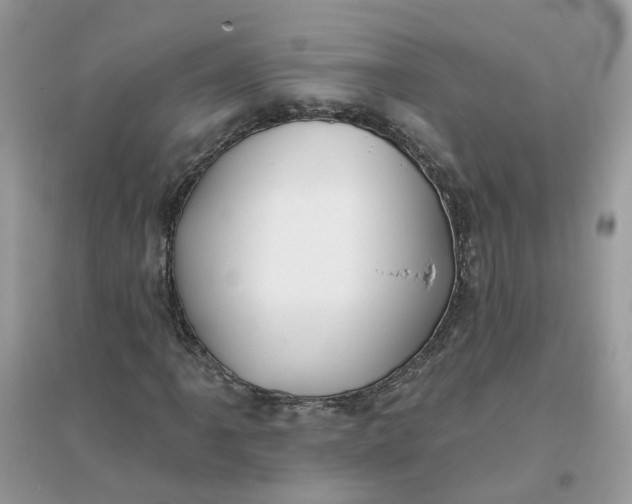 X0000096151061200802011228