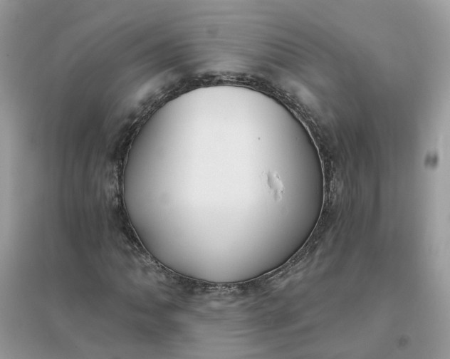 X0000096151062200802011228